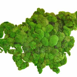Gömbmoha világtérkép – Kontinensek