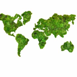 Gömbmoha világtérkép – Kontinensek