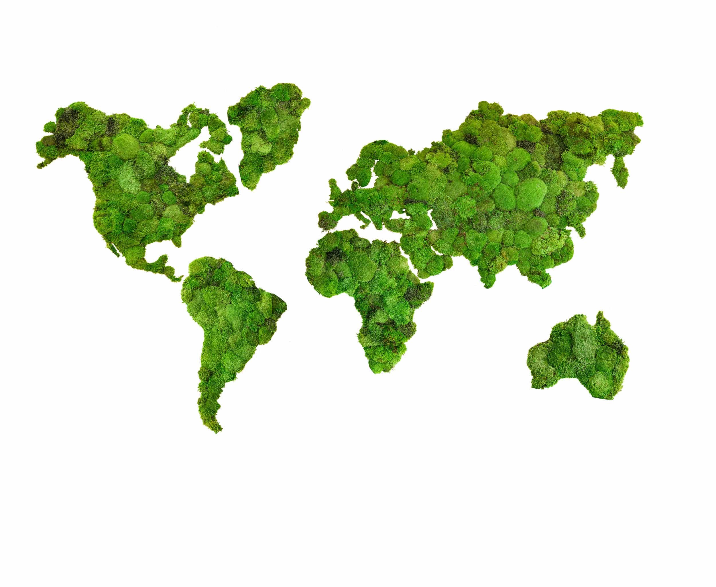 1-672 Gömbmoha világtérkép – Kontinensek