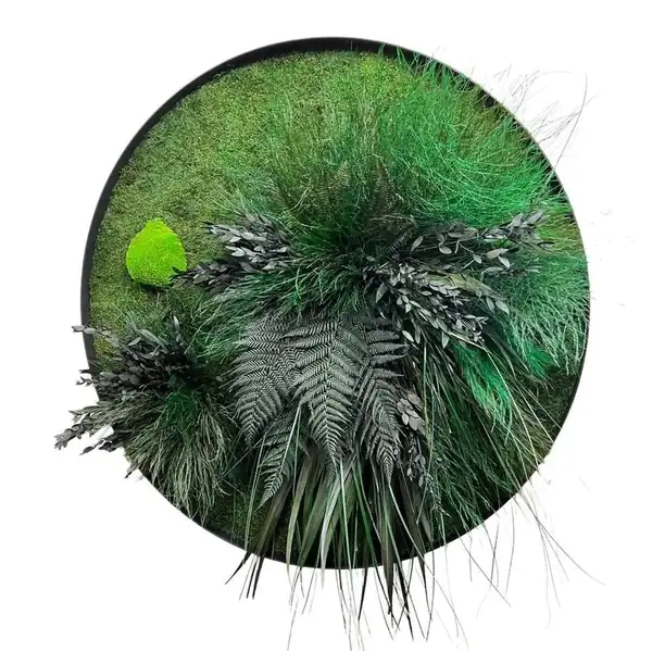 Circle-jungle_result_result Kerek élő moha kép – Dzsungel mohával és növényekkel