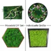 DIY-Moss-ART_600x600 DIY mohakép készlet egyedi méretben
