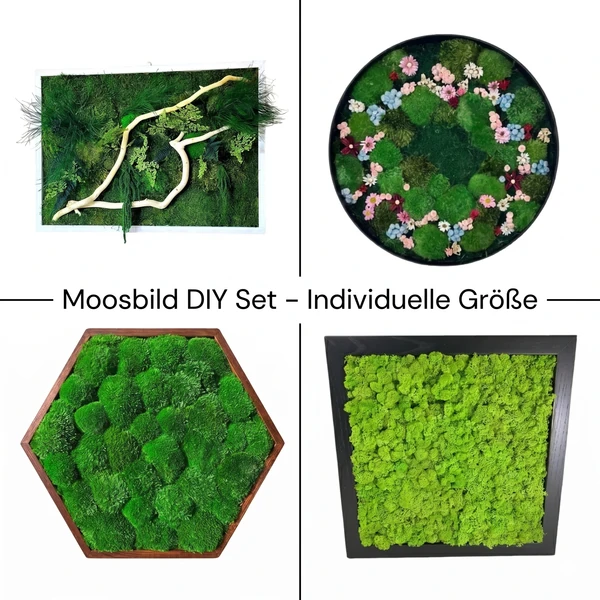DIY-Moss-ART_600x600 DIY mohakép készlet egyedi méretben
