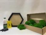 Ekomoss DIY mohakép szett