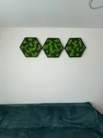 Három zöld izlandi zuzmóból készült hatszögletű mohakép fekete keretben, fehér falon a kanapé felett.