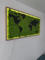 Téglalap alakú mohakép világtérkép zöld izlandi mohából, sötét kontinensekkel. Világos fa keret melegfehér LED-világítással, kb. 80x160 cm.