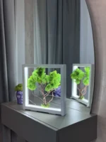 Világító LED moha bonsai fehér keretben szürke asztalon.