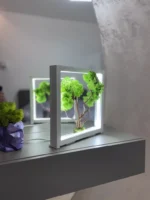 Világító LED moha bonsai sötét polcon.
