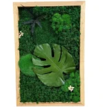 Monstera élő moha kép valódi mohából és növényekből, könnyezőpálma levéllel, fa keretben.
