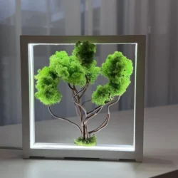 Moosbild-mit-LED-–-Dekobaum-im-Holzrahmen LED moha bonsai díszfa fa keretben tartósított izlandi mohából