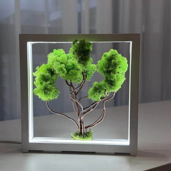 Moosbild-mit-LED-–-Dekobaum-im-Holzrahmen LED moha bonsai díszfa fa keretben tartósított izlandi mohából