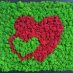 Zöld alapon piros és zöld izlandi zuzmóból készült dupla szív mohakép