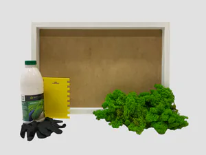 DIY Moosbild Set