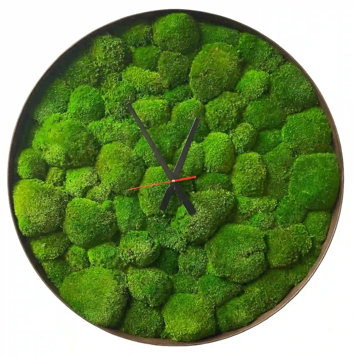Moss-Clock-3-1 Kerek falióra gömbmohával, letisztult mutatókkal és fa kerettel