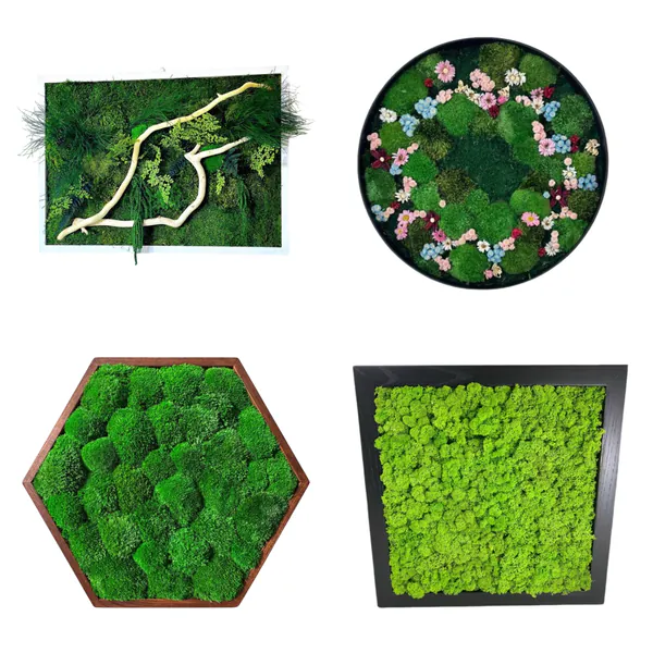 Moss-art-COLLAGE_result Egyedi mohakép méretre – Ekomoss tartósított moha dekoráció