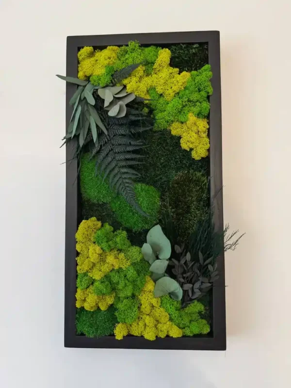 Moss-art-set1_result Három részes mohakép kompozíció a falon