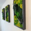 Moss-art-set2_result Természetes mohakép szett modern belső térben