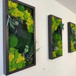 Moha kép szett a falon 25*50 cm-es méretben