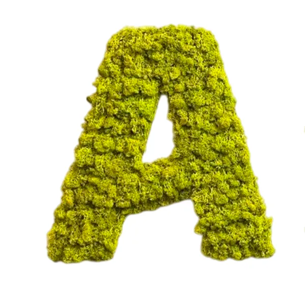 Moss-letters-A_result Mohabetűk