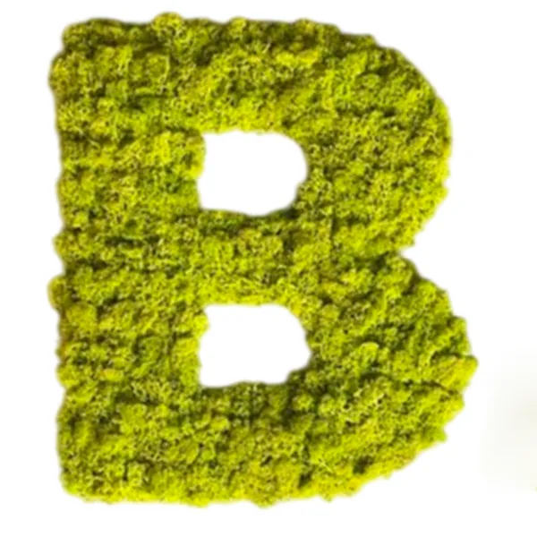 Moss-letters-B_result Mohabetűk