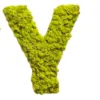 Moss-letters-Y_result Mohabetűk