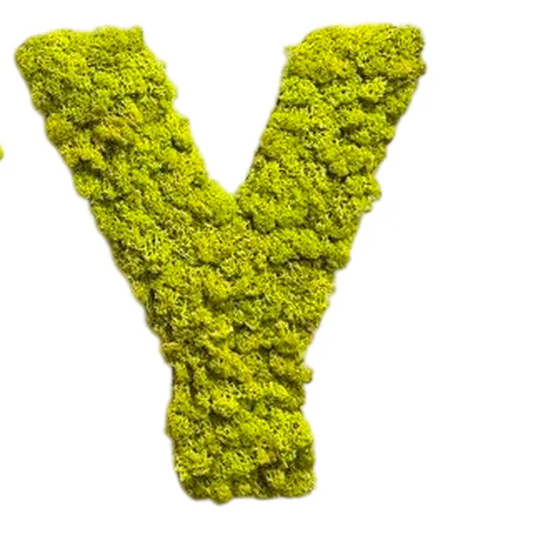 Moss-letters-Y_result Mohabetűk