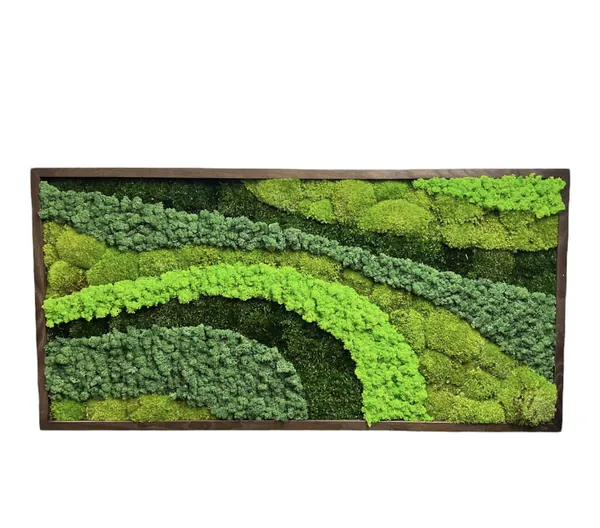 Symphony-moss-art-5_result_1 A természet palettája mohakép vegyes mohával