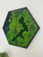 Detailaufnahme einer sechseckigen Moos-Uhr mit grünem Islandmoos und schwarzem Rahmen von der Seite.