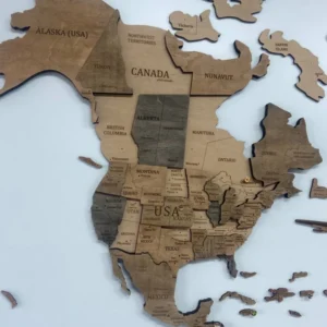 3D fa világtérkép natúr stílusban, Észak-Amerika részletgazdag gravírozása különböző barna árnyalatokban.