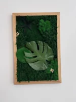 Téglalap alakú mohakép nagy Monstera levéllel és világos fa kerettel a fehér falon.