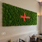 Gömbmoha neon betűkkel